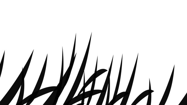 grase tranpanent sado in bleck olor