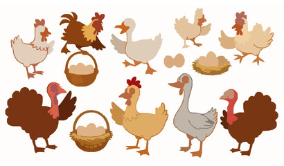 Funny cartoon farm birds vector set chickens ducks geese turkeys eggs illustration © Wahida