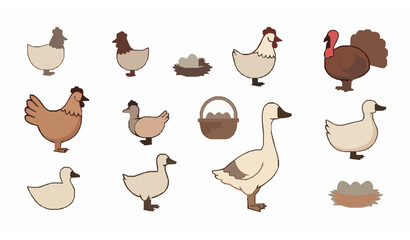 Minimal cartoon poultry icons vector chicken duck goose turkey eggs simple set © Wahida