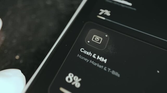 Cash and MM investment category representing 8 percent of the total portfolio value