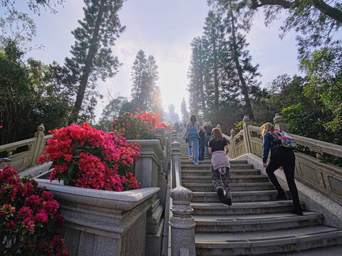 The iconic Tian Tan Buddha, also known as the Big Buddha, rises majestically atop a hill on Lantau Island, visitors climb a long and symbolic staircase of 268 steps to reach the massive bronze statue,