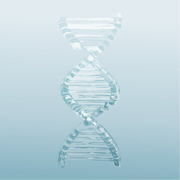 Eine transluzente DNA-Doppelhelix 