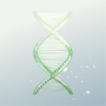 Eine transluzente DNA-Doppelhelix 