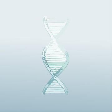 Eine transluzente DNA-Doppelhelix 