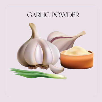 Vector design of dehydrated garlic with powder and leaves