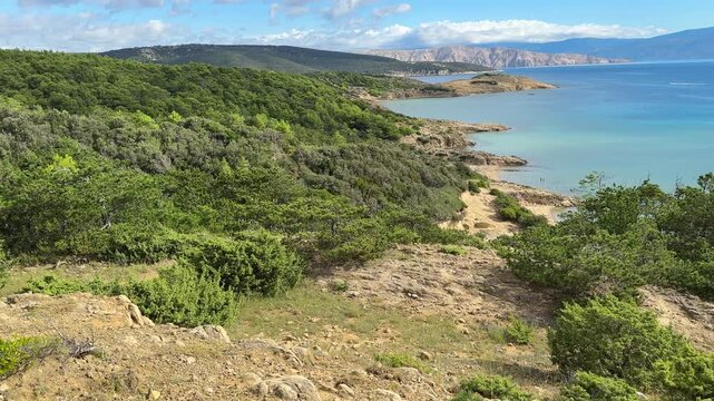 Tropical beach with turquoise water and lush greenery on Rab Island Croatia