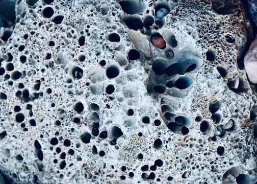 water drops on glass
Abstract macro texture of a gray porous stone with deep holes, natural volcanic rock or sponge-like surface background.