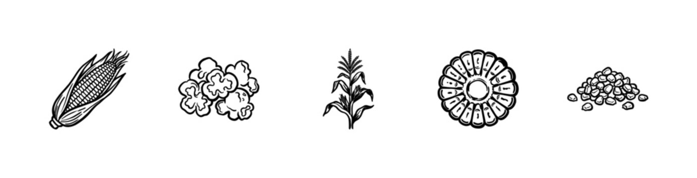 Corn and Maize Agricultural Elements with Hand-Drawn Inky Brushwork and Organic Painterly Textures