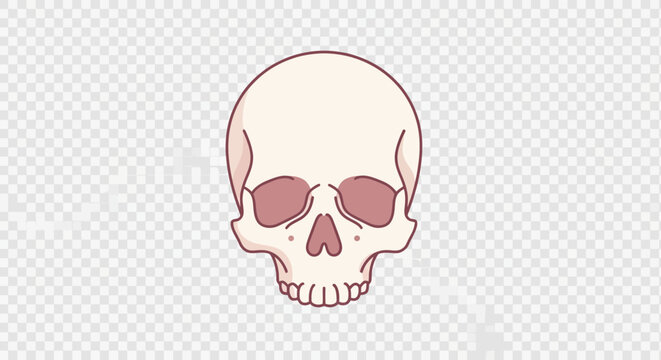 Cartoonish Human Skull Illustration with Pink Eye Sockets on Transparent Background