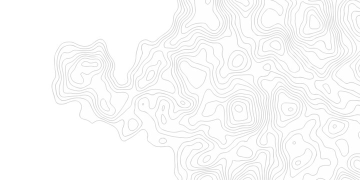 minimal paper area the pattern discovery topography map. topo map creative white wave grid stripe line map topography. vector geographic contour mounted map background.