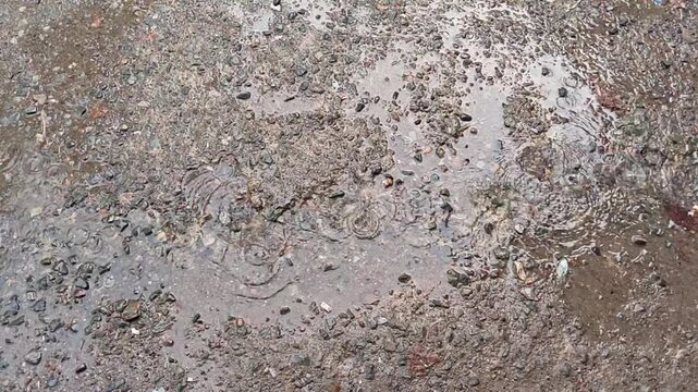 Close-up of Ripples on a Wet Concrete Surface After Rain