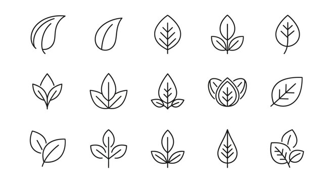 A flat lay of various line-drawn leaf icons on a white background in a simple, graphic style.