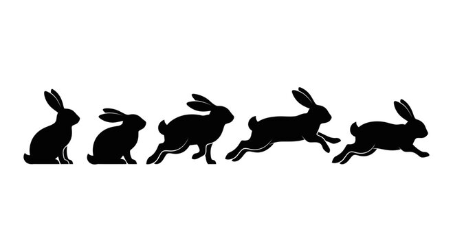 Rabbit Silhouettes Showing Progression of Movement Against a Clean White Background