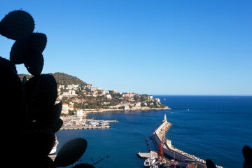 Widok na port i wille zamożnych, Prowansja-Alpy-Lazurowe Wybrzeże, Alpy Nadmorskie, Nicea, Francja, View of the harbor and villas of the wealthy, Provence-Alpes-Côte d'Azur, Alpes-Maritimes, Nice © 123108 Aneta