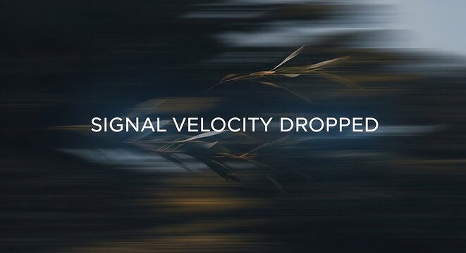 Abstract motion blur with digital text 'signal velocity dropped' velocity abstract movement background.