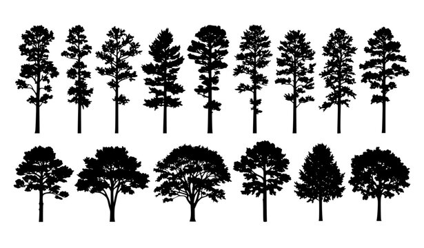 Forest Tree Silhouette Collection with Mixed Pine and Broadleaf Tree Shapes for Landscape Design, Nature Illustration, Woodland Scenes and Environmental Graphic Elements