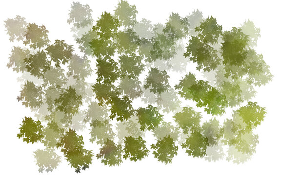 平面図用植栽　森