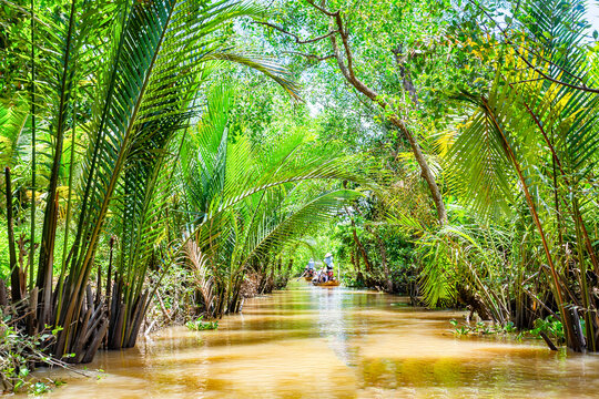Perspective from a wooden boat on a Mekong delta channel