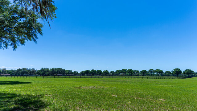 Blue sky over an equine property in Ocala