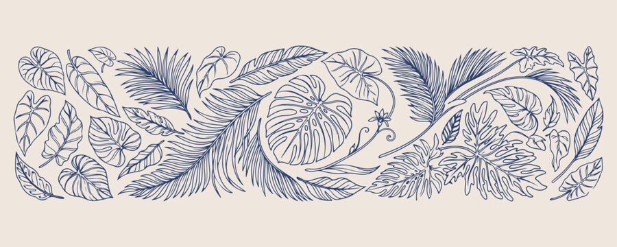 Minimal hand drawn tropical leaf doodle, Expressive brush line monstera sketch, Clean layout jungle foliage illustration, High negative space botanical drawing, Rough sketch style exotic plants art, S