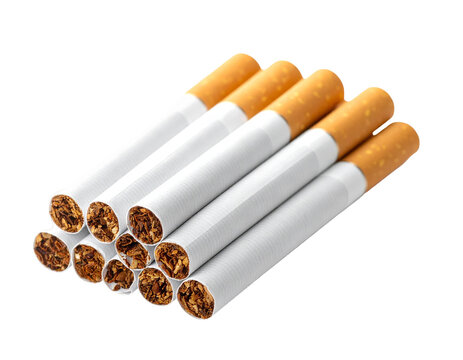 Cigarettes in a loose bundle: filtered plant product sticks with white paper and brown aggregation