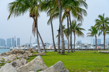 Tropical Palm Trees and Rocks at South Pointe Park. Waterfront park view with palm trees and boulders overlooking the Miami port area. © Vadim
