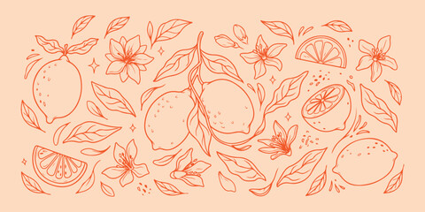 Minimal hand drawn lemon fruit, Expressive brush line citrus doodle, Clean layout garden fruit illustration, High negative space botanical drawing, Rough sketch style lemon branch, Simple orange line  © Geetaroy