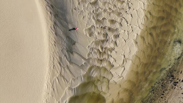 Drone overhead shot, clear sunny day, lone figure in pink harvesting shellfish on exposed tidal sandflats of river Minouet, Brittany France.