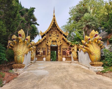 Wat Saengkaewphothiyan,Chiangrai,Thailand:A shot of a golden temple entrance. The walkway is flanked by massive, multi-headed Naga (serpent) sculptures with their mouths 

