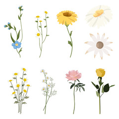 Fototapeta premium Flowers png stickers, transparent background set