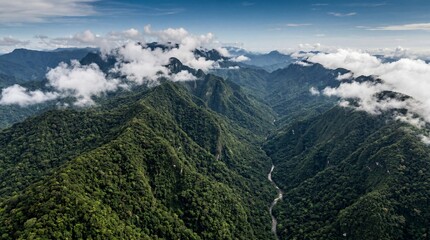 Obraz premium Aerial view of lush green mountain peaks and river in tropical rainforest
