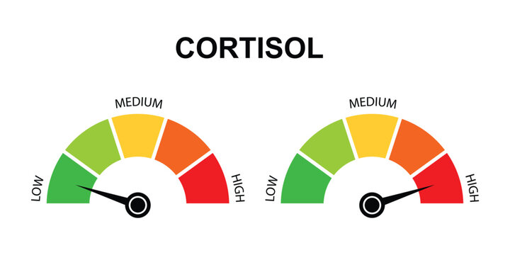 cortisol level meter low to high stress indicator