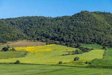 Obraz premium Paysage rural au printemps en Tunisie