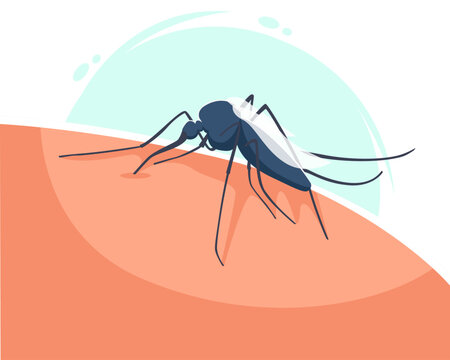 Close up mosquito insect on skin tone background, medical pest and vector borne disease concept in simple clean vector illustration