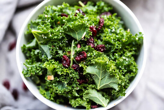 A bowl of kale salad with cranberries and seeds is presented on a textured surface.