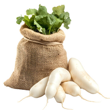 Front view of a single burlap sack of daikon radish overflow and fallen out, studio shot, isolated on a white transparent background