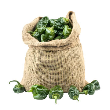 Front view of a single burlap sack of padron peppers overflow and fallen out, studio shot, isolated on a white transparent background