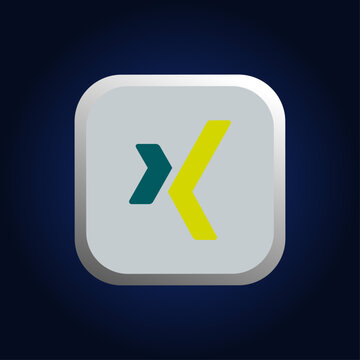 xing 3d logo icon, social media xing button.