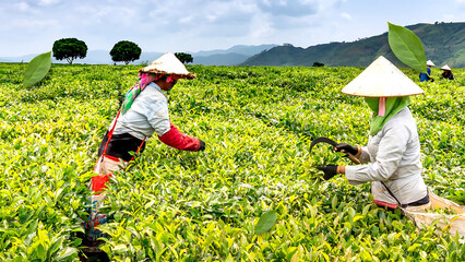 World international day celebration with emerging seedlings and blurred green background