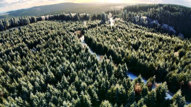 Wandern am Ettelsberg im Winterwald Drohnenaufnahme 4K