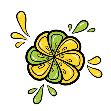Stylized lemon lime fruit with juice splash cartoon vector