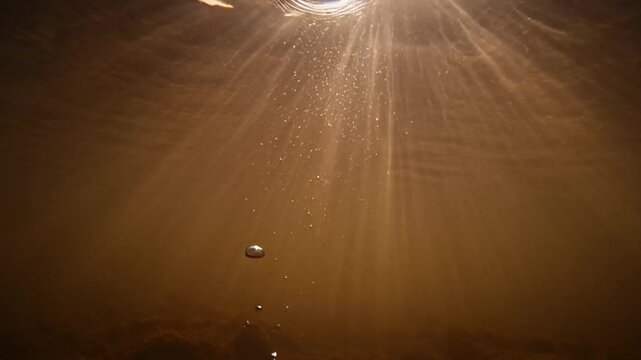 Water Droplets on Surface with Sunlight.