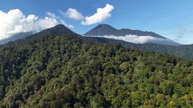 A green forest canopy stretching across rolling mountains with dramatic clouds and a blue sky in the background. Mount Gede Pangrango National Park.