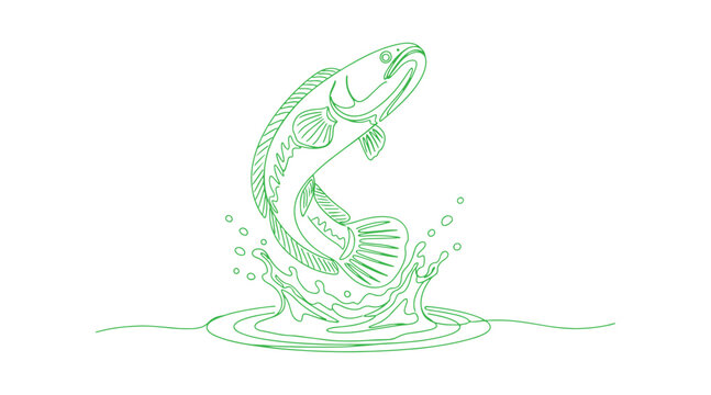 A continuous single line drawing of a fish leaping out of water, set against a white background. It's an aquatic creature, specifically a Snakehead fish from the Channidae family, illustrated.