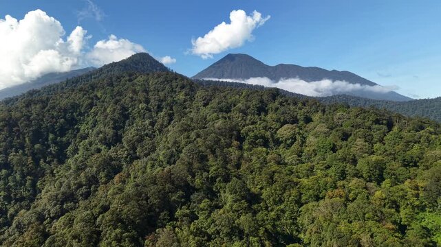 A view of lush green mountains with dense tropical forests and soft clouds drifting along the slopes under a clear blue sky. Mount Gede Pangrango, Puncak Bogor.