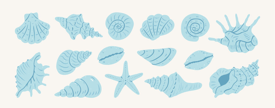 Hand drawn blue seashells and starfish. Coastal ocean travel. Summer vacation design elements for trendy prints, label, menu cover. Tropical beach shells. Vector flat illustration.