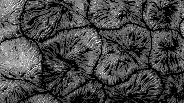 Abstract ice freezing and crystallizing animation