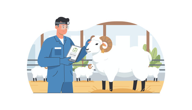 Livestock inspector checking health of sheep ram with tablet showing certified status for quality control and animal welfare standards in farm setting.