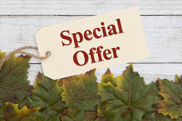 Special offer tag with autumn oak leaves