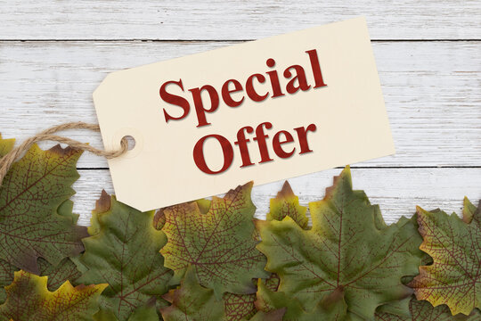 Special offer tag with autumn oak leaves